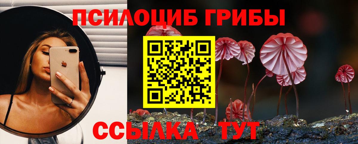 Кушва  Псилоцибиновые грибы Psilocybe  как найти закладки  Вход с VPN 