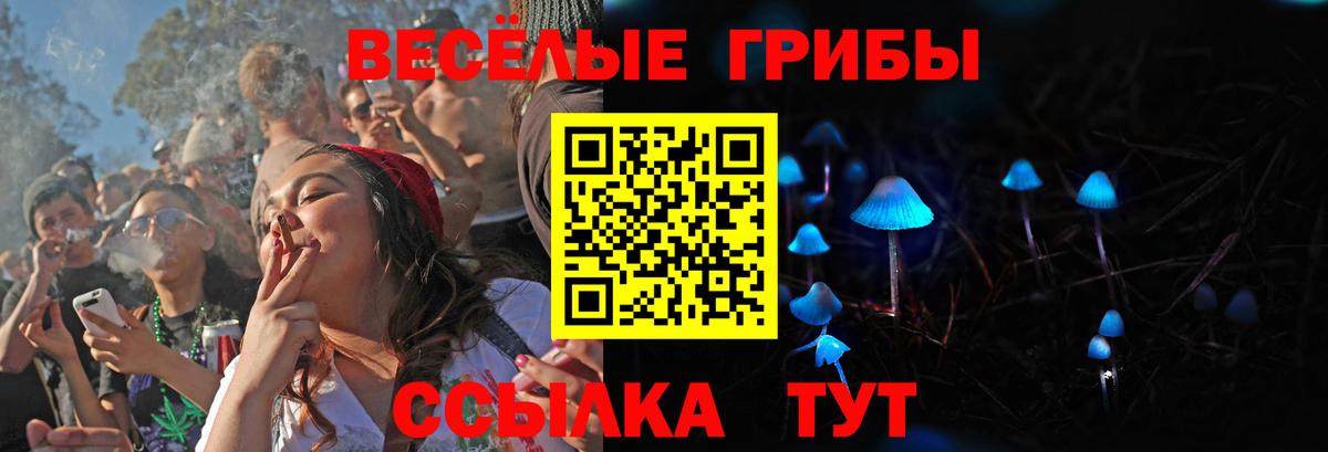 Псилоцибиновые грибы GOLDEN TEACHER Кушва